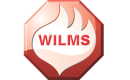 Wilms